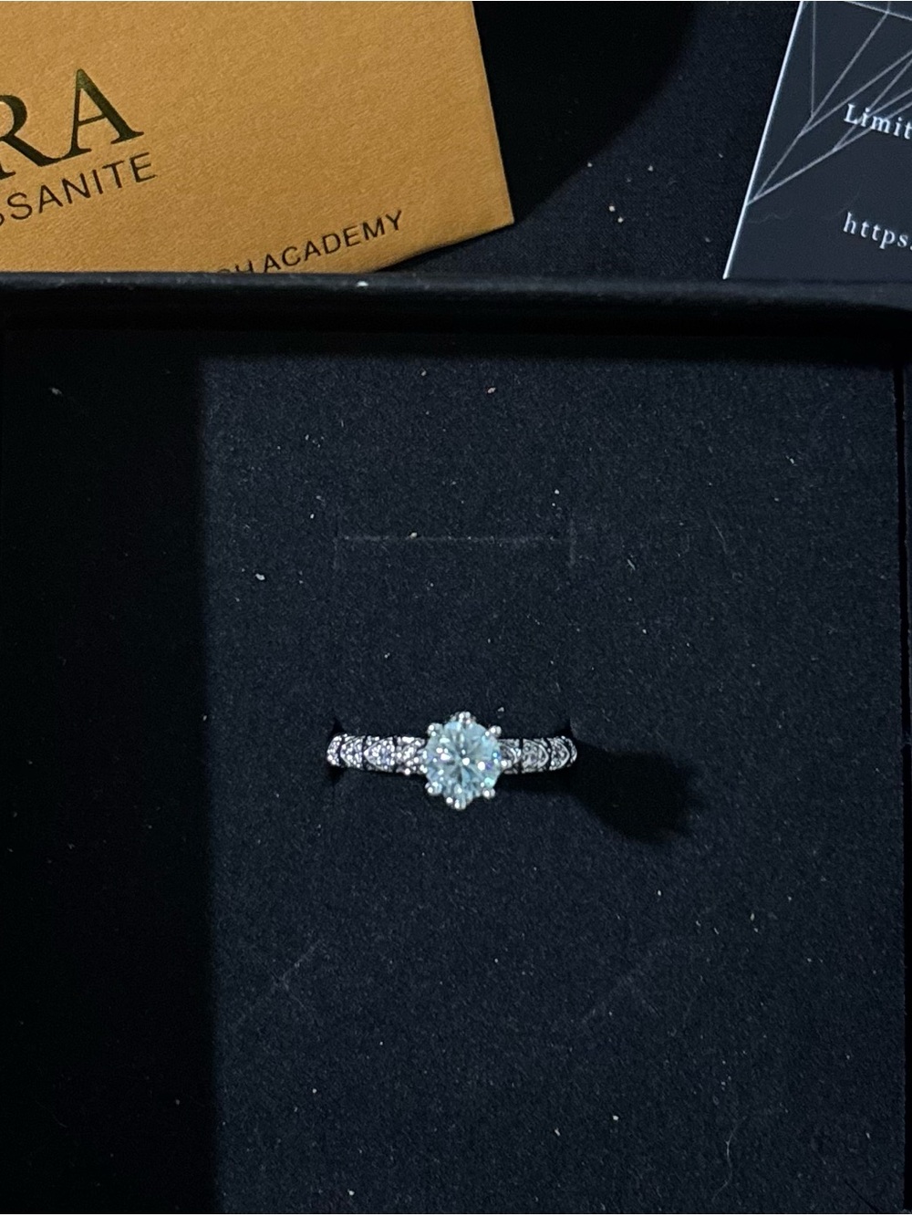 Moissanite Sterling Silver Halo Solitaire Ring - White/Silver